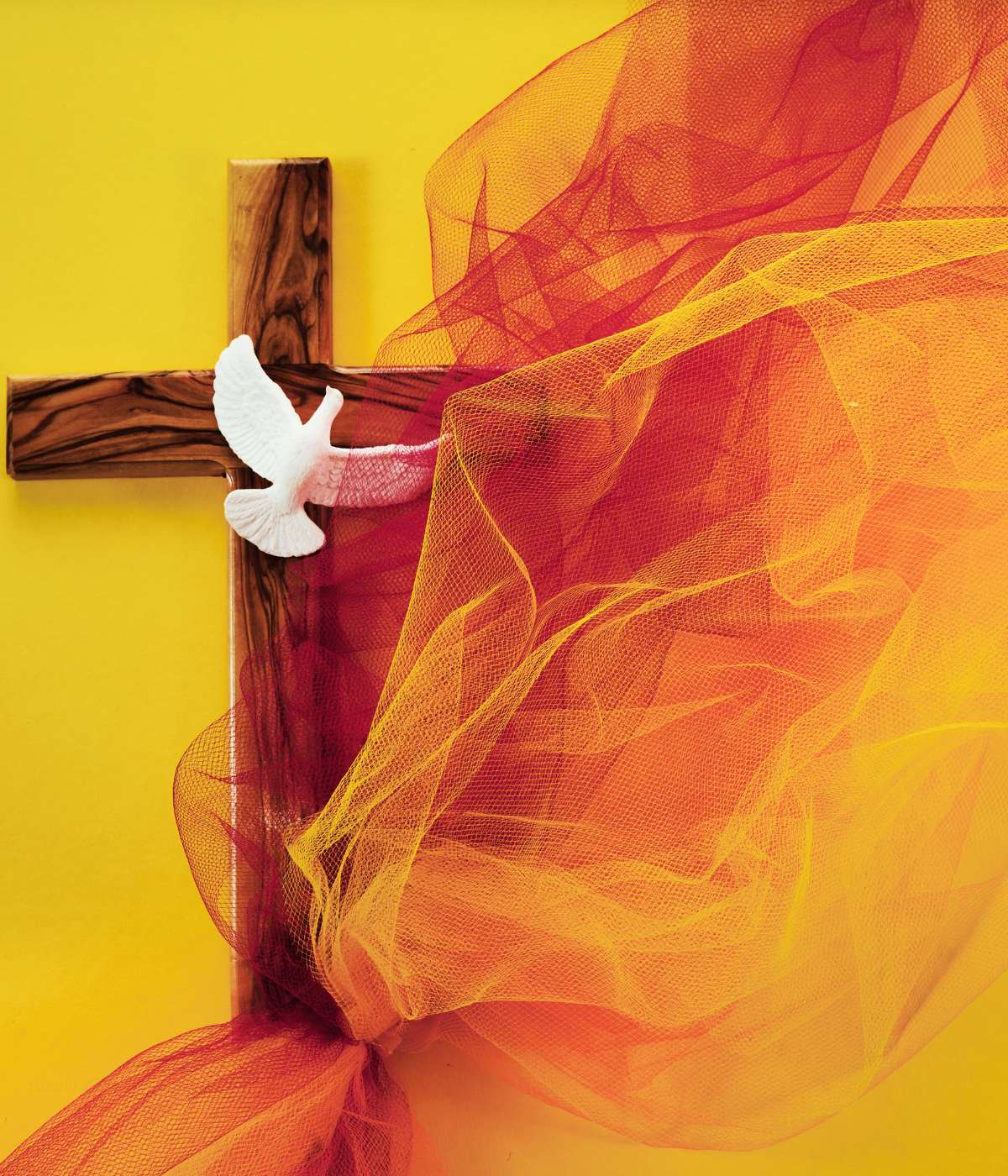 Oferte cazare rusalii 2026 Suncuius, Bihor