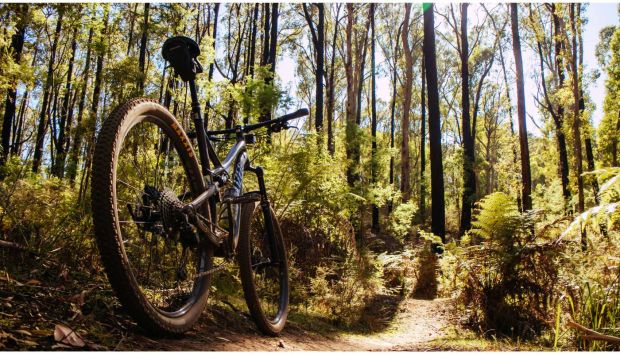 Casa Bucatrului Cazare Balnaca
